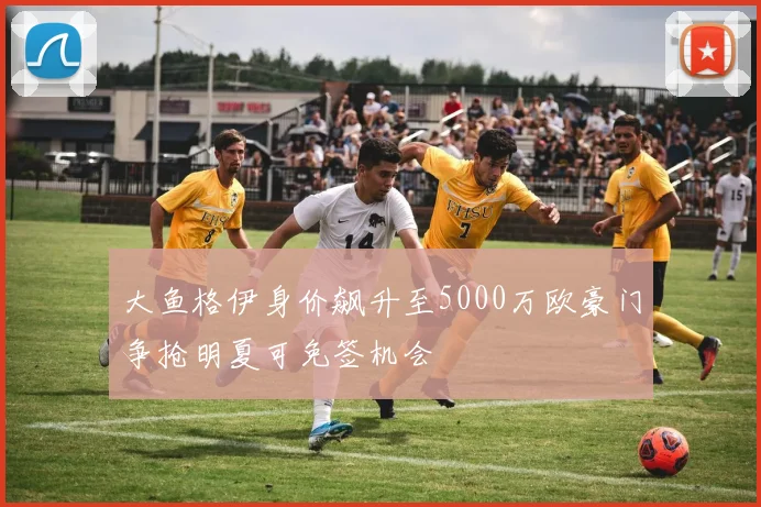 大鱼格伊身价飙升至5000万欧豪门争抢明夏可免签机会